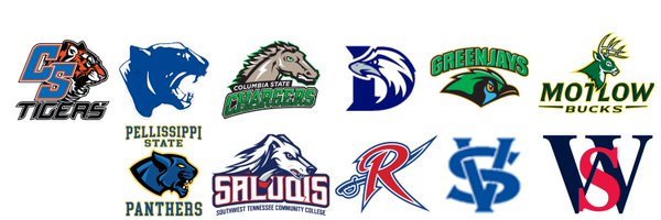 TCCAAsports Profile Banner