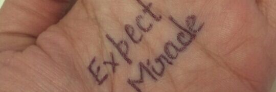 niharika_c's profile banner image