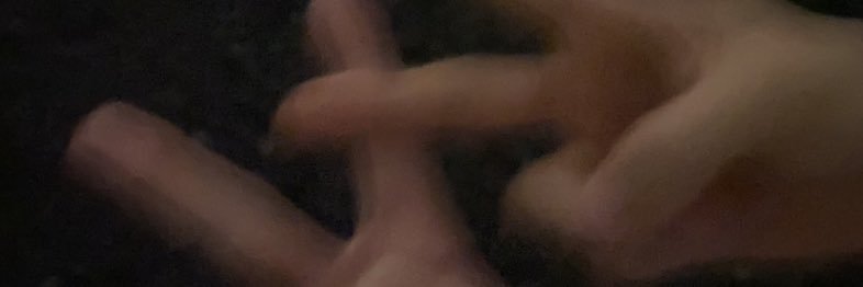 🕊️ banner