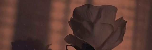 ام هديـــــل♥. banner