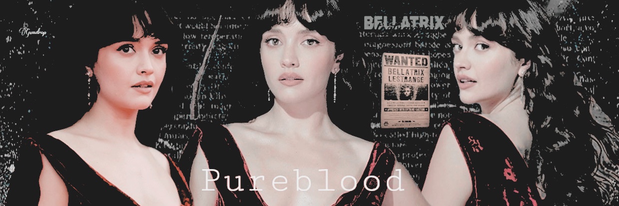 SinfulBellatrix's profile banner image