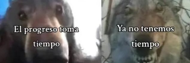 Foz_D 🇦🇷 banner