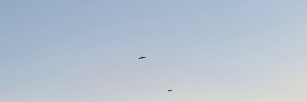 @ banner