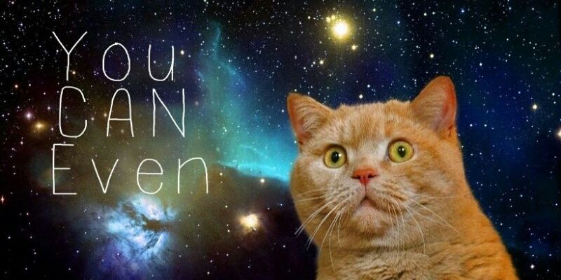 MarissaPascoe15's profile banner image
