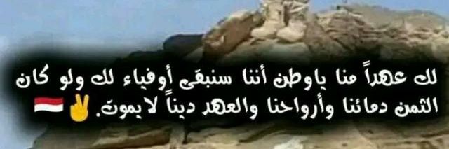 الكيان M banner