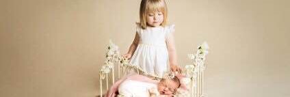 susan  wallace banner