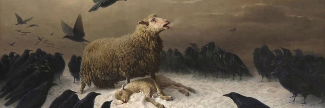 CottonMatherDH's profile banner image