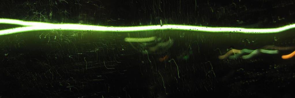 yopensiero's profile banner image