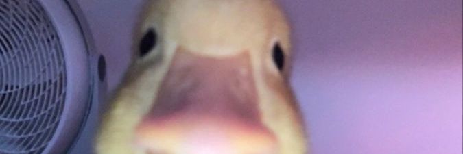 Thaga_12's profile banner image