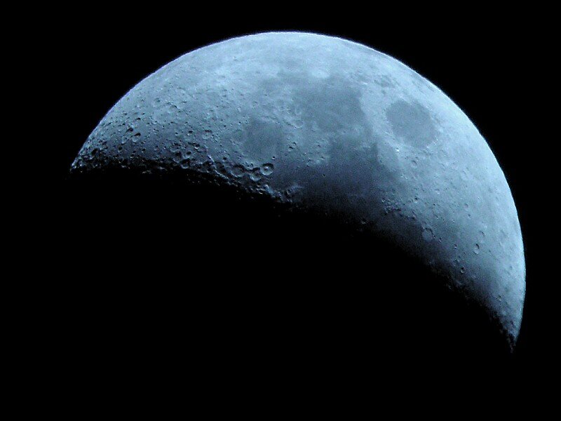 Octavia_Gil's profile banner image