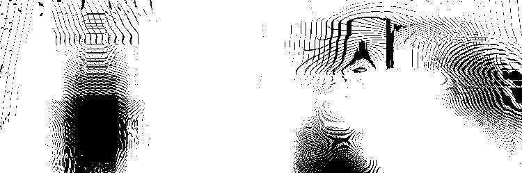 Gardenback Records🌳 banner