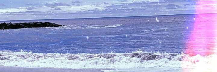 barbibergandi's profile banner image