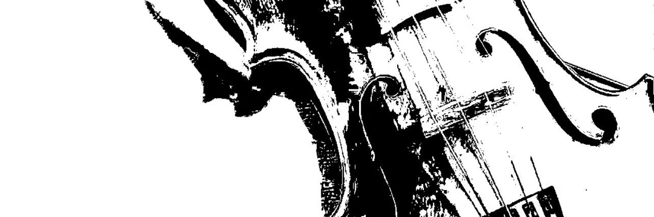 ne nes ter 小辰 banner