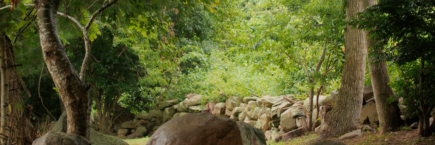 Terry_Locke's profile banner image