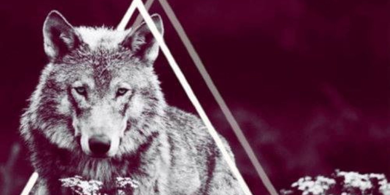 vicolop22's profile banner image