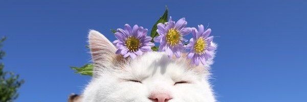 giemjn's profile banner image