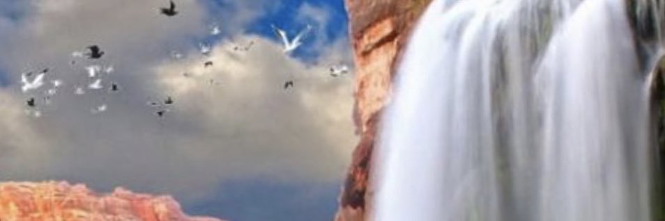 EL__999's profile banner image