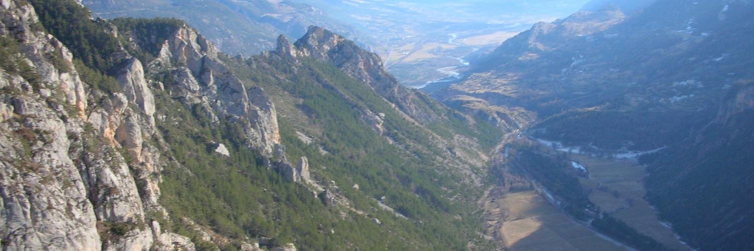 Faisel Rahman banner