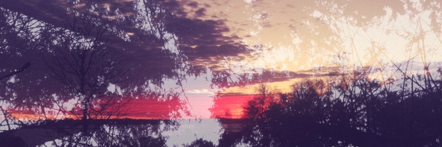 Atelphobiaa___'s profile banner image