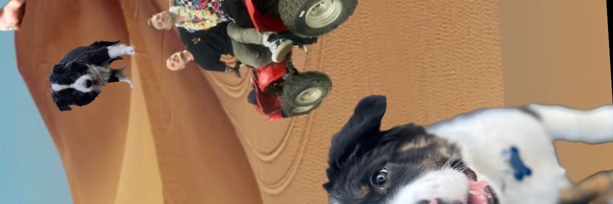 KellyBlum's profile banner image
