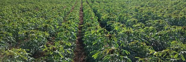 cubaka_paul Profile Banner