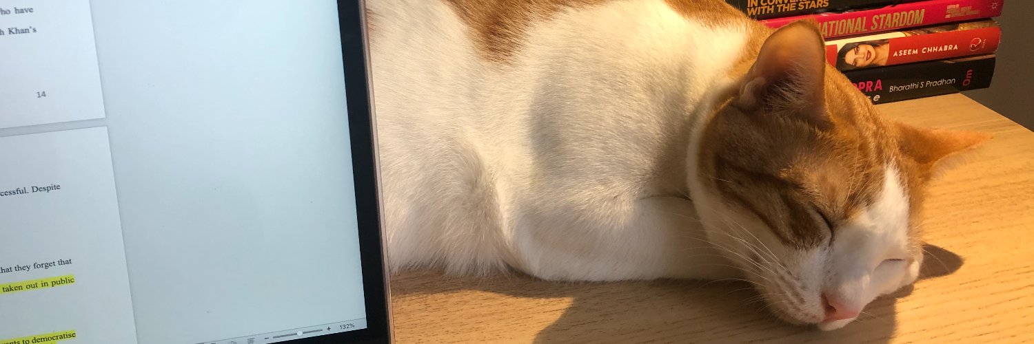 chutneysoul's profile banner image