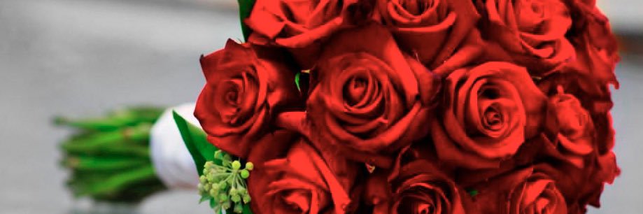 Watw37541504's profile banner image