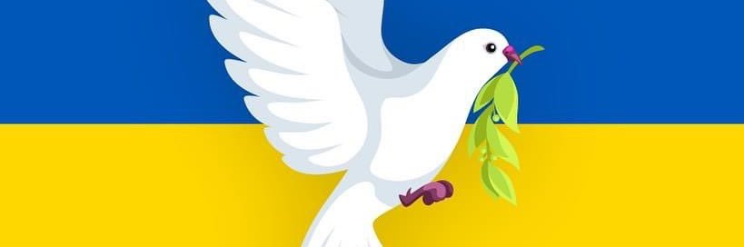 Terde08's profile banner image
