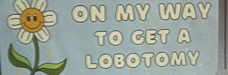 manic pixie nightmare gay banner