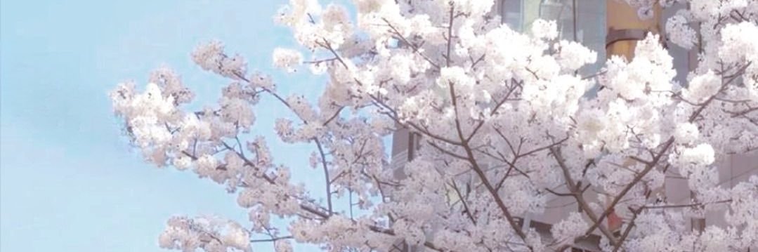VOIDVLR0's profile banner image