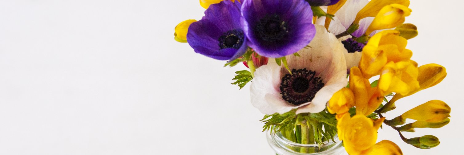 Eden Hensley banner