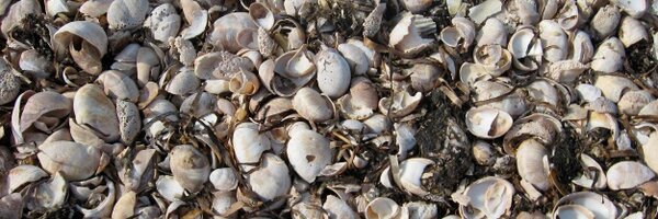 carsoncooman Profile Banner