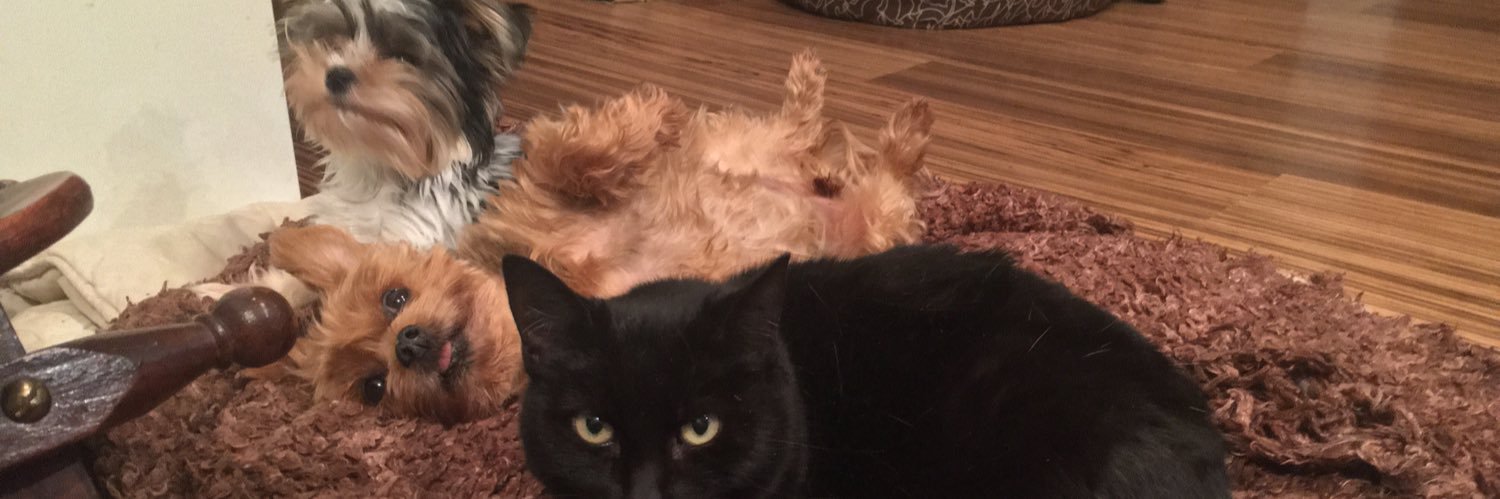 Philippe Adam banner