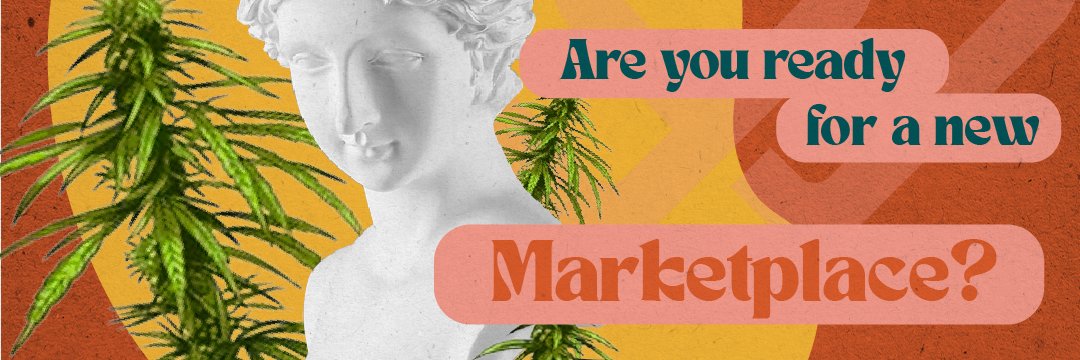 Syndicate Cannabis banner