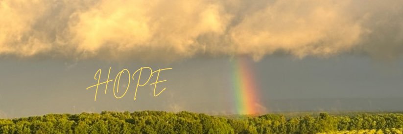r banner