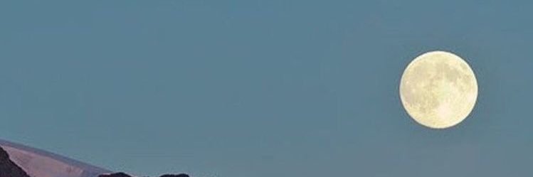 xselenofil's profile banner image