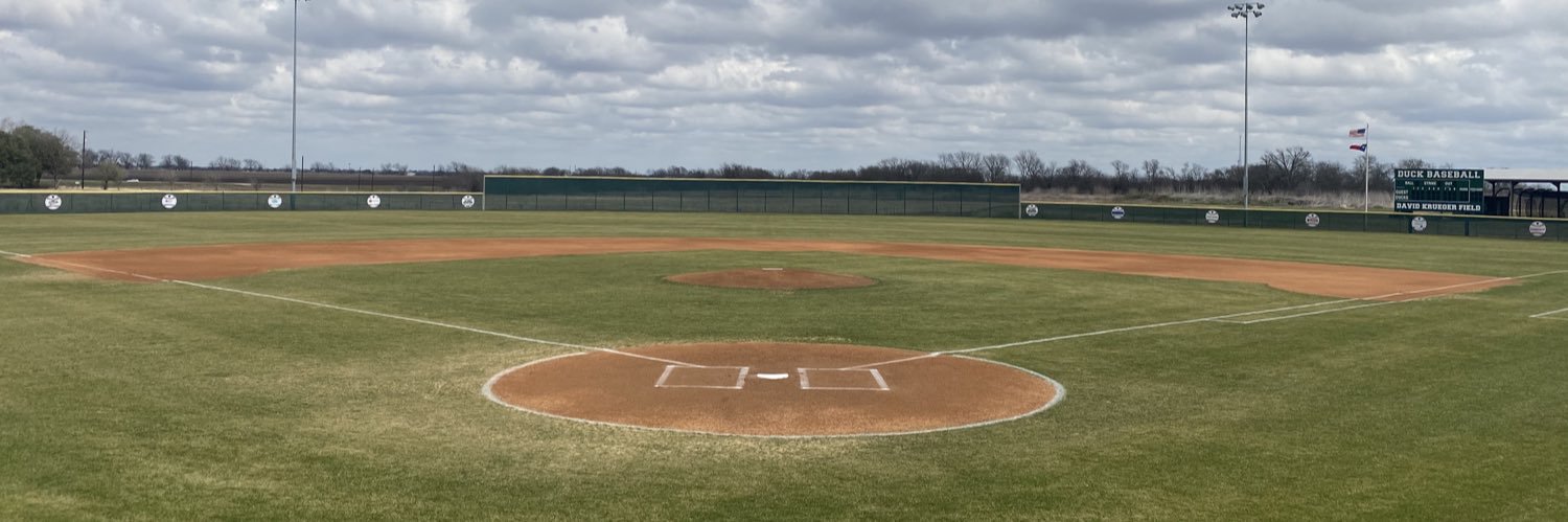 Taylor Duck Baseball banner