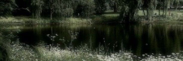 ★︲αle . ⊹ banner