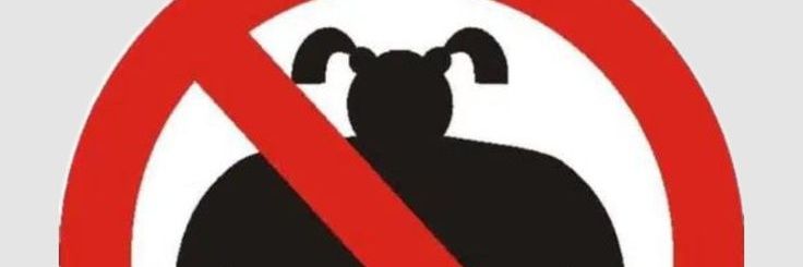 2S banner