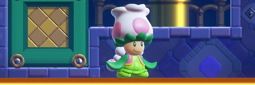 Crashy the Wonzy man banner