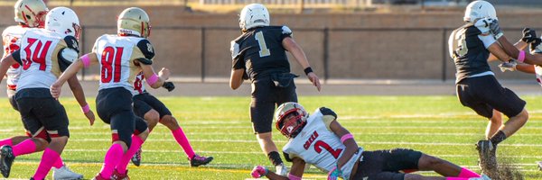 SawyerBuzbee Profile Banner