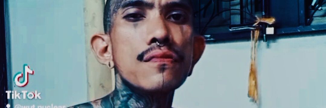 Wutnuclear29's profile banner image