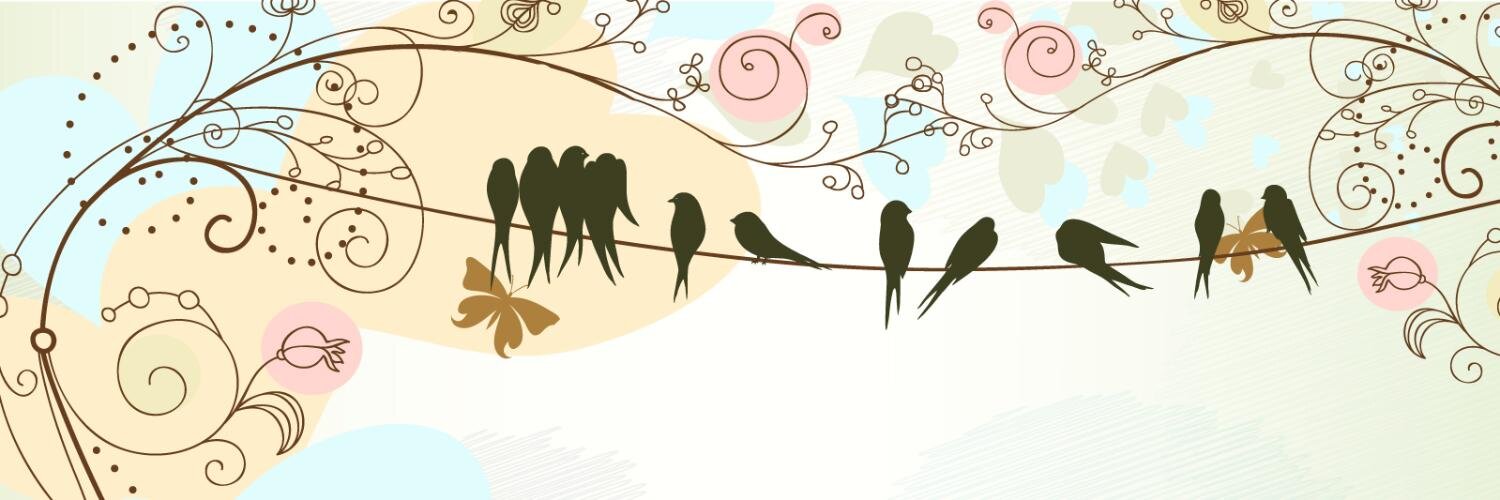 busranipta's profile banner image