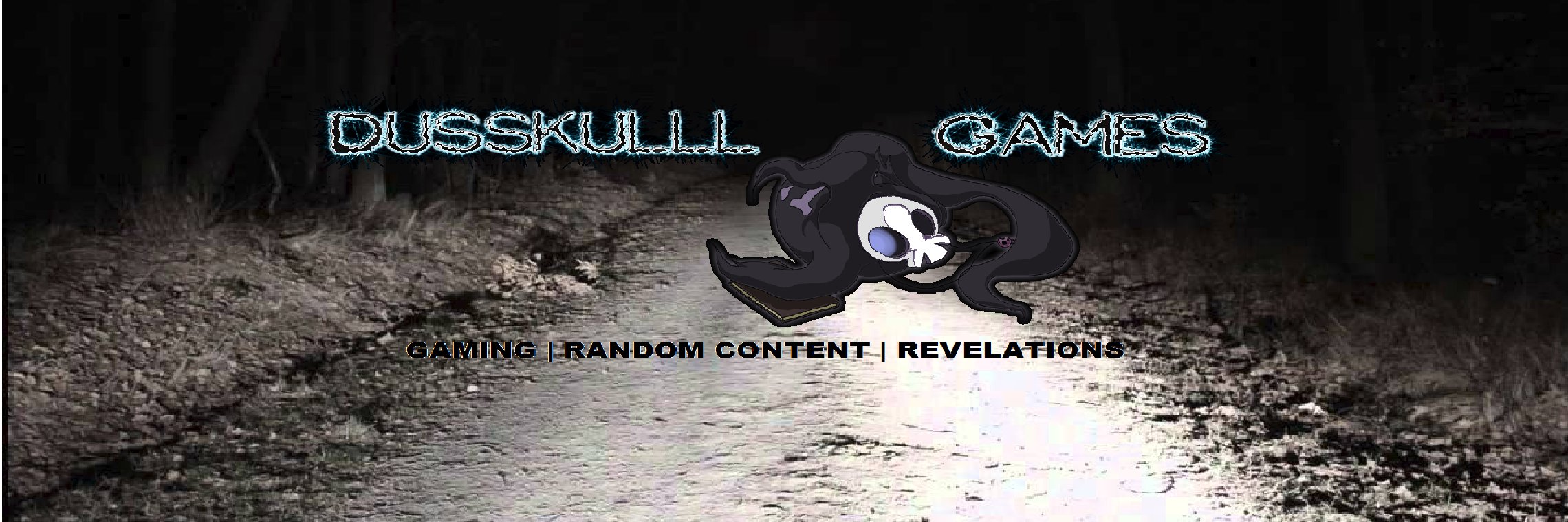 Dusskulll's profile banner image