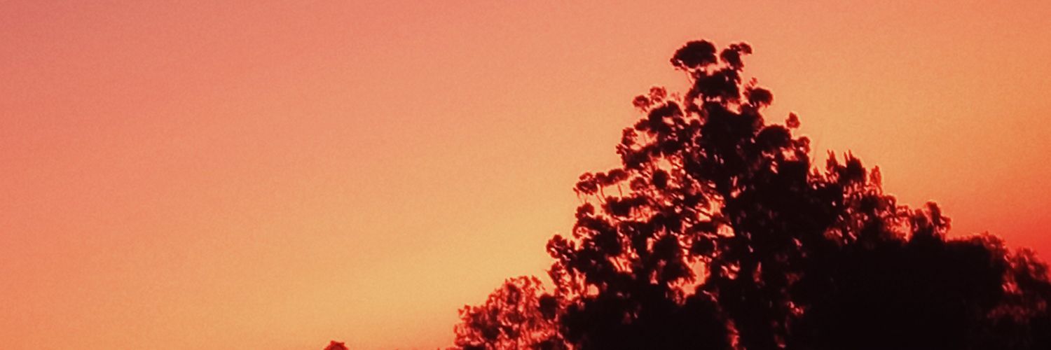 Mannex0101's profile banner image