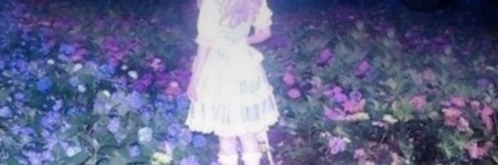 nldxy_'s profile banner image