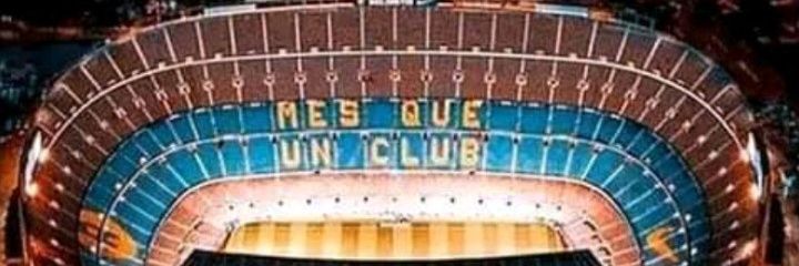 Yoise banner