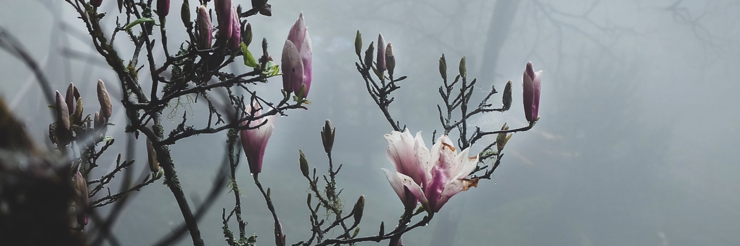 sethee's profile banner image