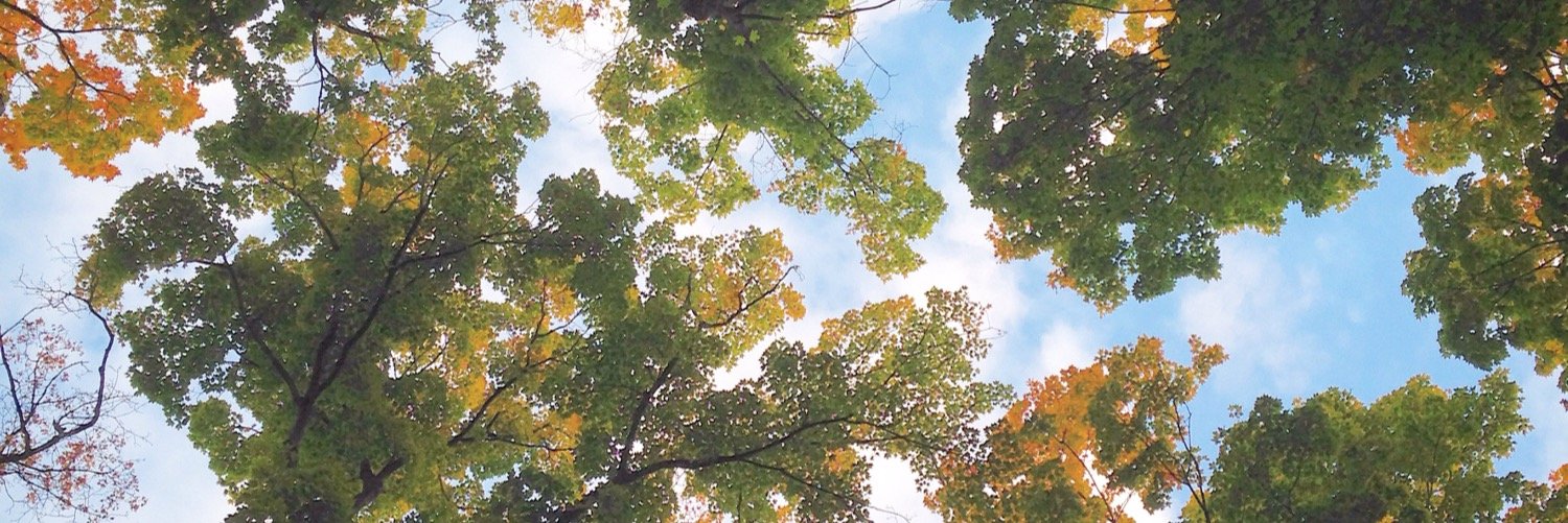 mtaylorlong's profile banner image