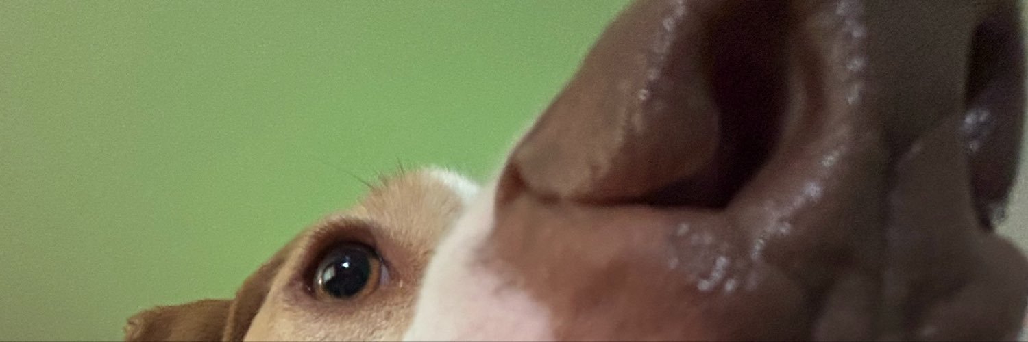 pipersdiper's profile banner image